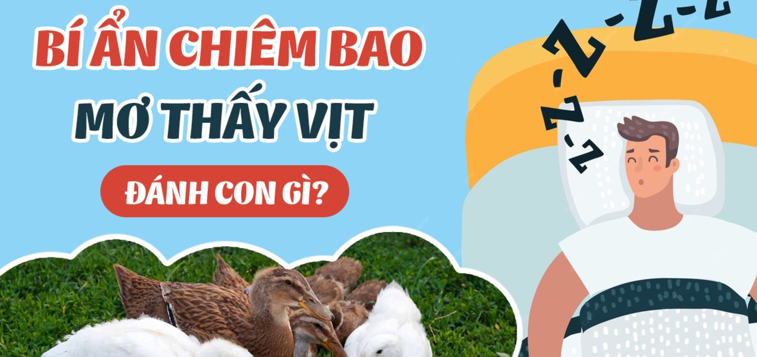 Chiêm bao thấy 1 đàn vịt