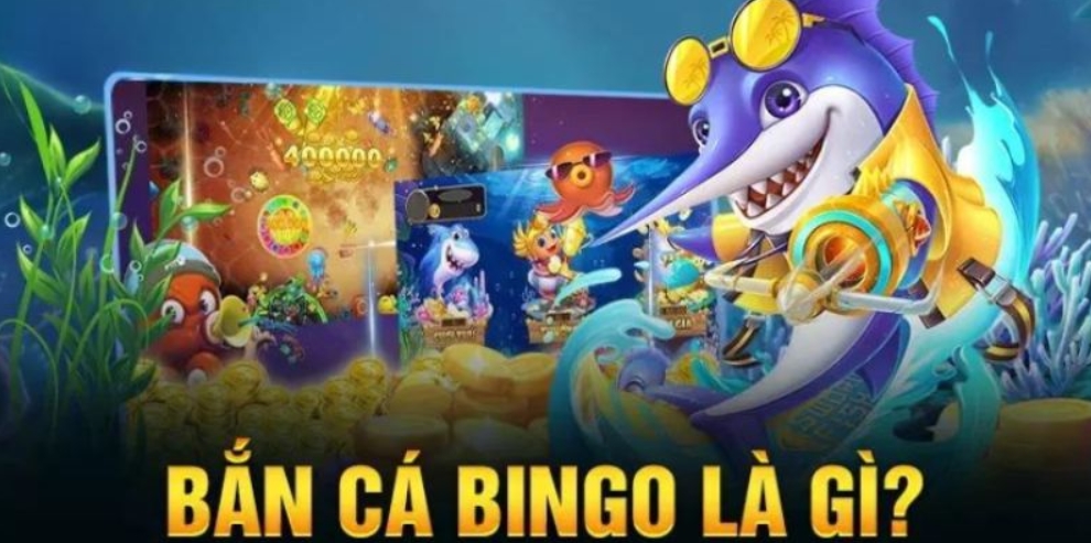 Đôi nét về Bắn cá Bingo